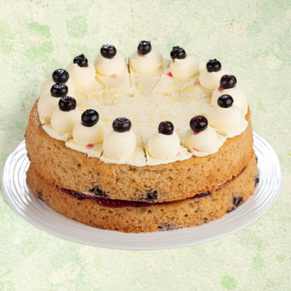 Vegan blueberry and lemon cake with lemon icing.